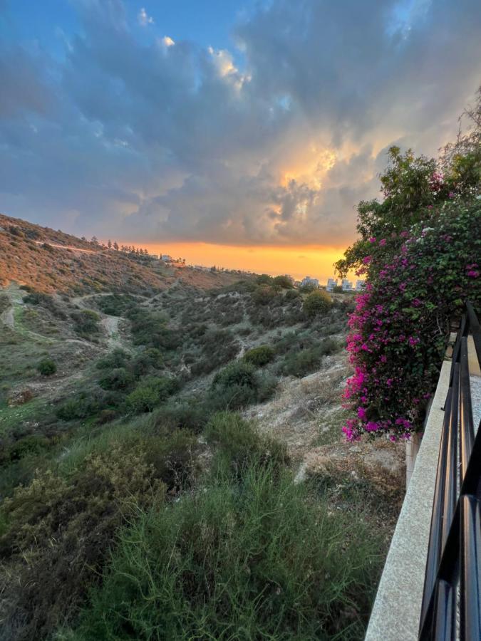 Hillview Apartment Pegeia Exterior foto